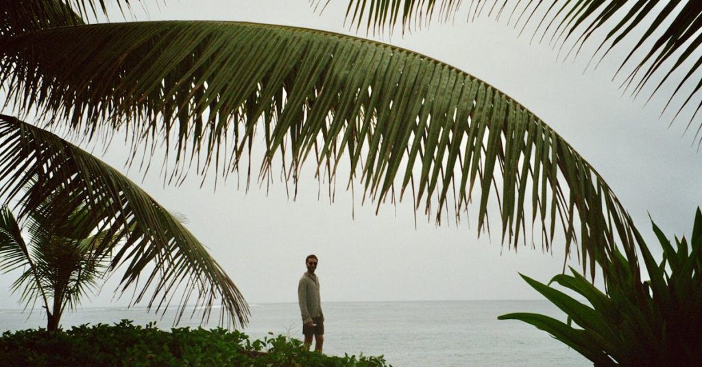 découvrez la vie à tahiti : un paradis tropical alliant culture polynésienne, paysages époustouflants et mode de vie détendu.