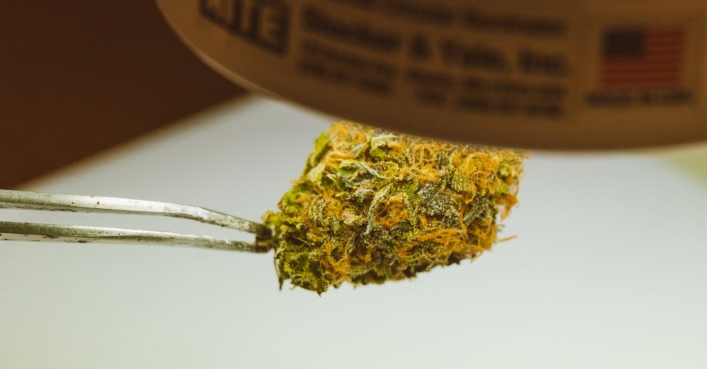 découvrez notre sélection de pinces de précision pour une épilation parfaite et un soin adapté. qualité professionnelle et confort garantis.