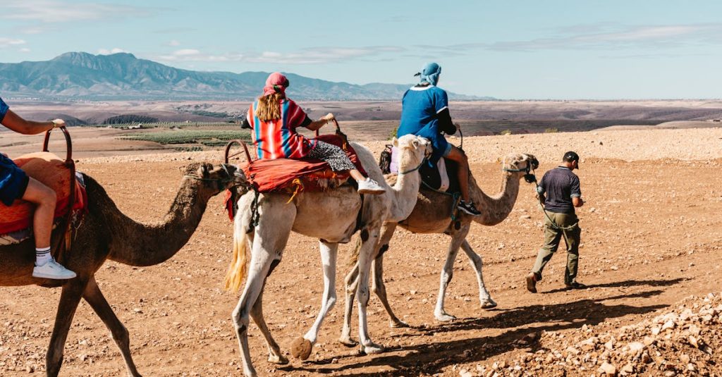 découvrez les meilleures activités à oujda : excursions, loisirs, événements culturels et bien plus pour tous les goûts et tous les âges.