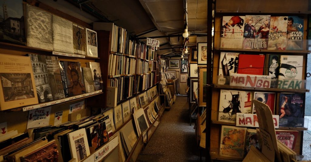 découvrez les meilleures boutiques de bandes dessinées à barcelone, où passionnés et collectionneurs trouvent des comics rares, nouveautés et éditions spéciales.