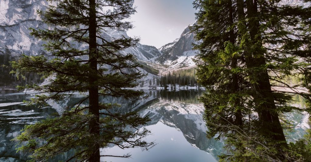 découvrez nature escapes, votre guide ultime pour des escapades en pleine nature, des aventures en plein air et des moments de détente au cœur des paysages naturels les plus époustouflants.