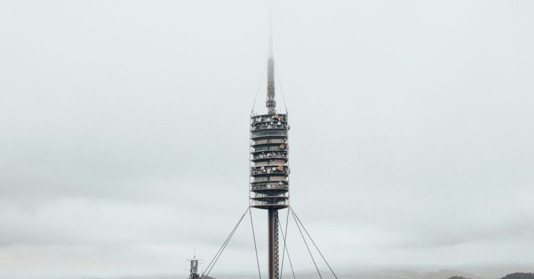 Découverte du parc naturel de collserola en rando tranquille : un havre de paix au cœur de la nature