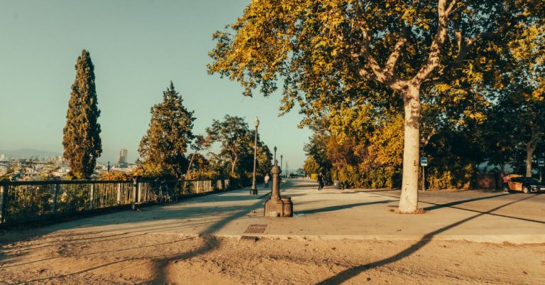 Découvrez des parcs peu connus pour pique-niquer à barcelone en toute tranquillité