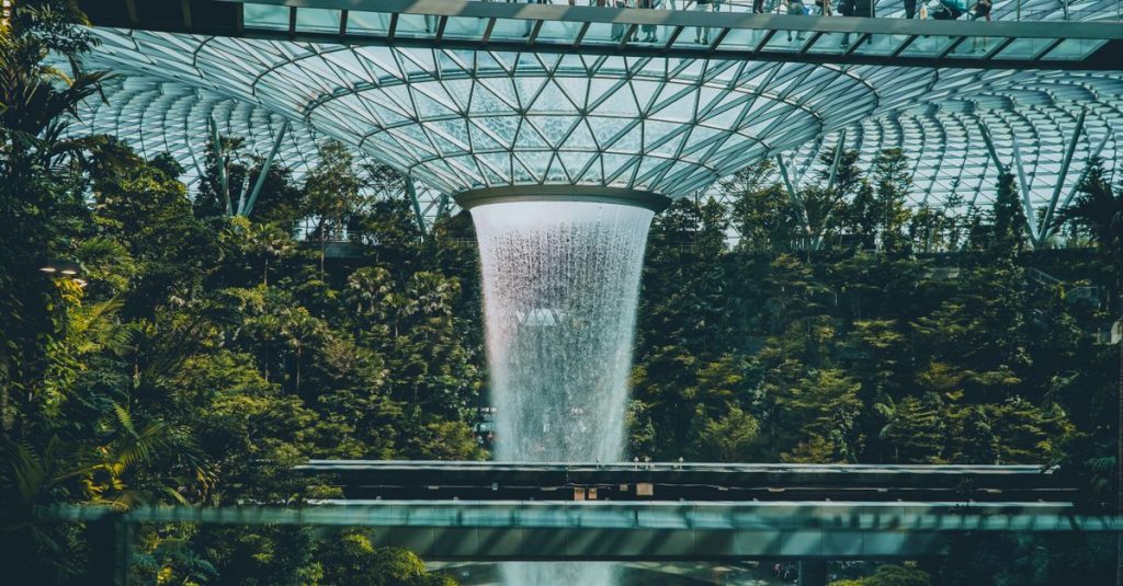 Expériences botaniques immersives au jardin botanique : découvrez la biodiversité 2 découvrez des expériences botaniques immersives uniques qui éveillent vos sens et vous rapprochent de la nature comme jamais auparavant.