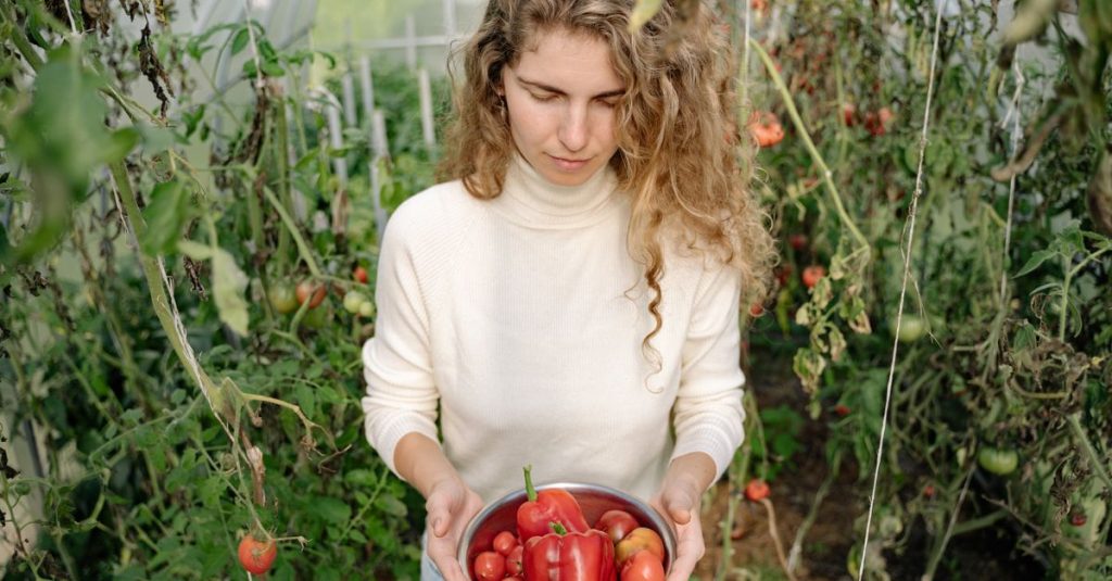 Cueillette bio et visites de fermes en périphérie de barcelone : une expérience authentique 2 découvrez les méthodes de récolte biologique respectueuses de l'environnement pour des produits naturels et sains.