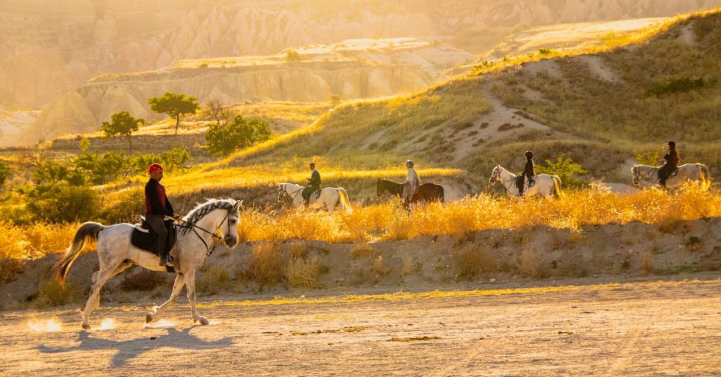 Découvrez les plus beaux itinéraires à cheval pour explorer la campagne espagnole 2 découvrez les meilleures routes pour l'équitation, idéales pour tous les niveaux, pour explorer la nature à cheval.