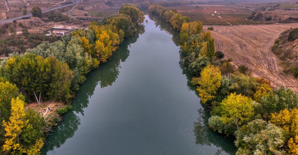 Découvrir les vignobles bio en espagne lors de visites guidées authentiques 2 découvrez les vignobles biologiques d'espagne, alliant tradition et respect de l'environnement pour des vins authentiques et naturels.
