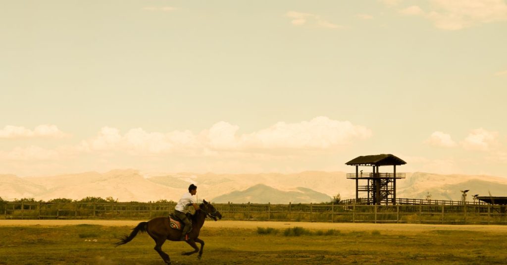 Balades à cheval en andalousie profonde : découvrez des itinéraires authentiques et mémorables 2 découvrez l'expérience unique de l'équitation en andalousie, entre paysages grandioses et traditions équestres authentiques.
