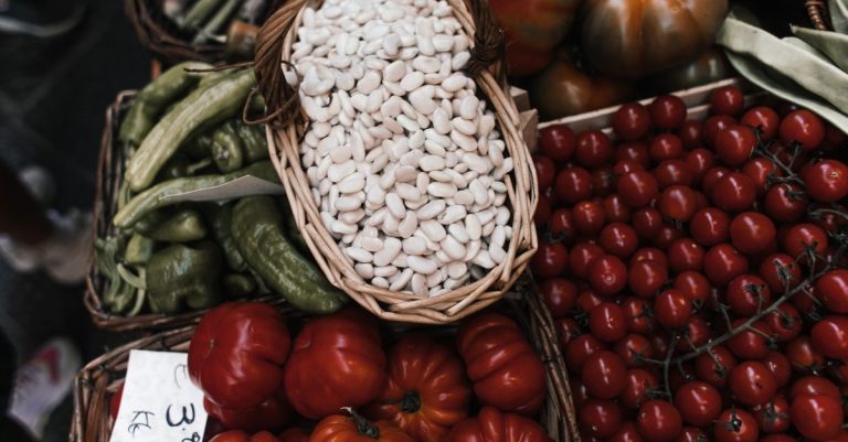 Découvrir les marchés bio méconnus de catalogne pour une expérience authentique