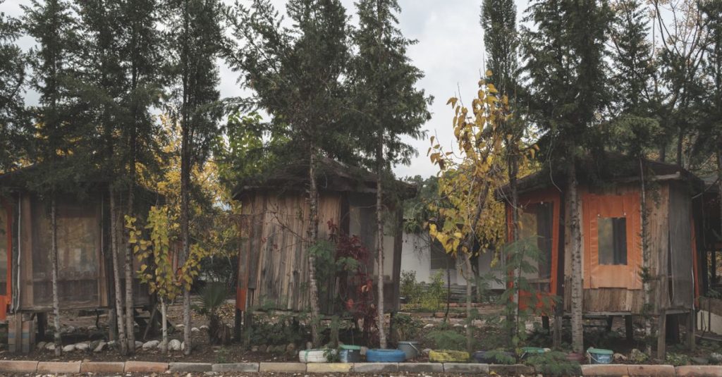 Découvrez les cabanes en bois dans la nature sauvage espagnole pour une escapade authentique 1 découvrez nos cabanes en bois authentiques, alliant confort et nature pour des séjours inoubliables en pleine forêt.