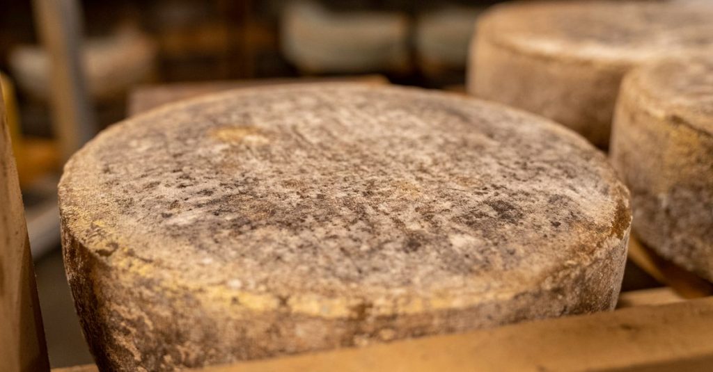 À la découverte des artisans fromagers des asturies et de leurs savoir-faire uniques 2 découvrez les fromagers artisanaux d'asturias, experts en fabrication traditionnelle de fromages savoureux et authentiques, issus du cœur des montagnes espagnoles.