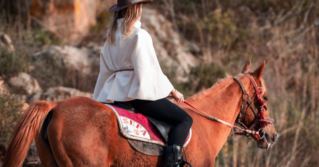 Découvrir les auberges rurales en espagne avec activités d'équitation pour un séjour authentique 2 découvrez des auberges rurales en espagne offrant des excursions équestres pour une expérience authentique au cœur de la nature espagnole.